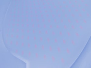 方案全方位解析